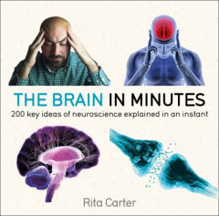 The Brain in Minutes by Rita Carter
