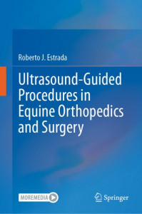 Ultrasound-Guided Procedures in Equine Orthopedics and Surgery by Roberto J. Estrada (Hardback)