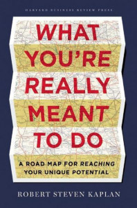 What You're Really Meant to Do by Robert Steven Kaplan (Hardback)