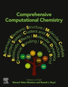 Comprehensive Computational Chemistry by Russell J. Boyd (Hardback)