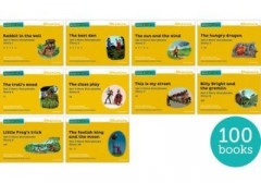 Read Write Inc. Phonics: Yellow Set 5 More Storybooks (Pack of 100) by Ruth Miskin