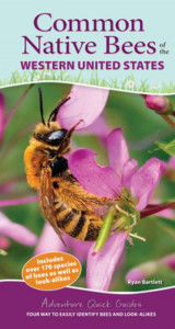 Common Native Bees of the Western United States by Ryan Bartlett (Spiral bound)