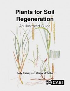 Plants for Soil Regeneration: An Illustrated Guide by Sally Pinhey (Institute of Analytical Plant Illustration, UK) (Hardback)
