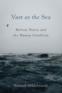 Vast as the Sea by Samuel Hildebrandt