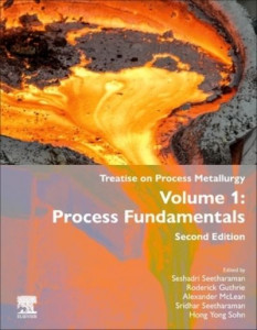 Treatise on Process Metallurgy. Volume 1 Process Fundamentals by Seshadri Seetharaman (Hardback)