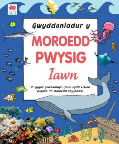 Gwyddoniadur Y Moroedd Pwysig Iawn by Siân Lewis (Hardback)