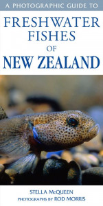 A Photographic Guide to Freshwater Fishes of New Zealand by Stella McQueen