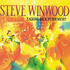 Steve Winwood - Talking Back To The Night - Vinyl Record 
