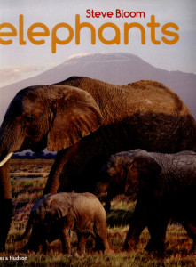 Elephants by David Henry Wilson