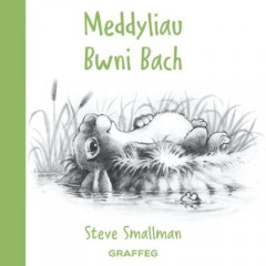 Meddyliau Bwni Bach by Steve Smallman (Hardback)
