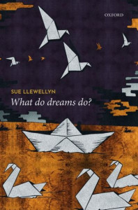 What Do Dreams Do? by Sue Llewellyn (Hardback)