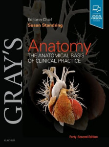 Gray's Anatomy by Susan Standring (Hardback)