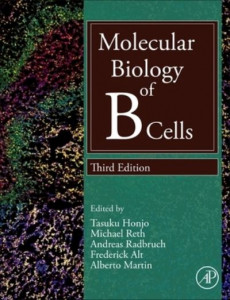Molecular Biology of B Cells by T. Honjo (Hardback)