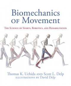 Biomechanics of Movement by Thomas K. Uchida (Hardback)