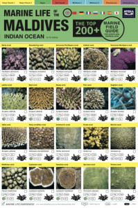 Maldives Marine Life Field Guide by Tim Godfrey