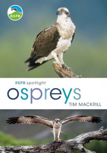 Ospreys by Tim Mackrill