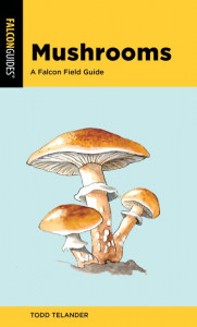 Mushrooms by Todd Telander