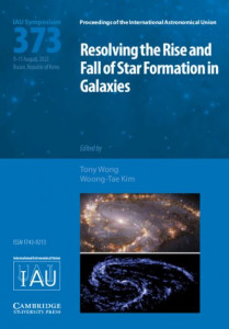 Resolving the Rise and Fall of Star Formation in Galaxies (Book 373) by International Astronomical Union (Hardback)