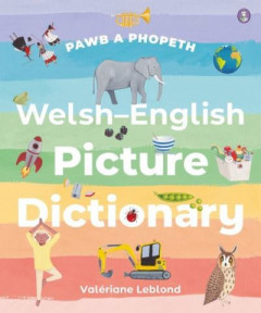 Welsh-English Picture Dictionary by Valériane Leblond