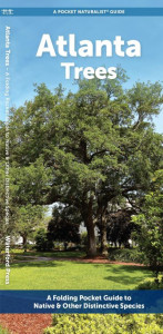 Atlanta Trees by Waterford Press
