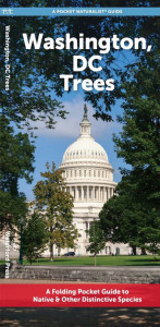 Washington, DC Trees by Waterford Press