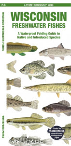 Wisconsin Freshwater Fishes by Matthew Morris