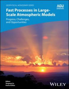 Fast Processes in Large Scale Atmospheric Models by Yangang Liu (Hardback)