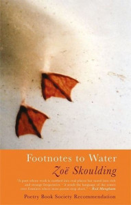 Footnotes to Water by Zoë Skoulding
